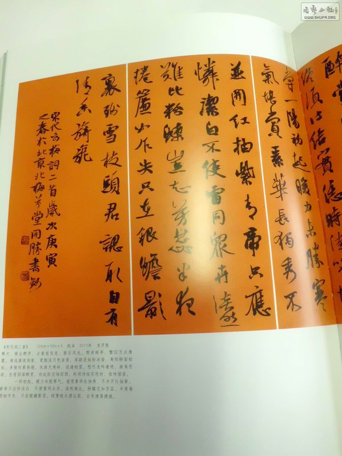 CIMG3313.JPG