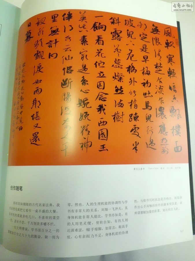 CIMG3311.JPG