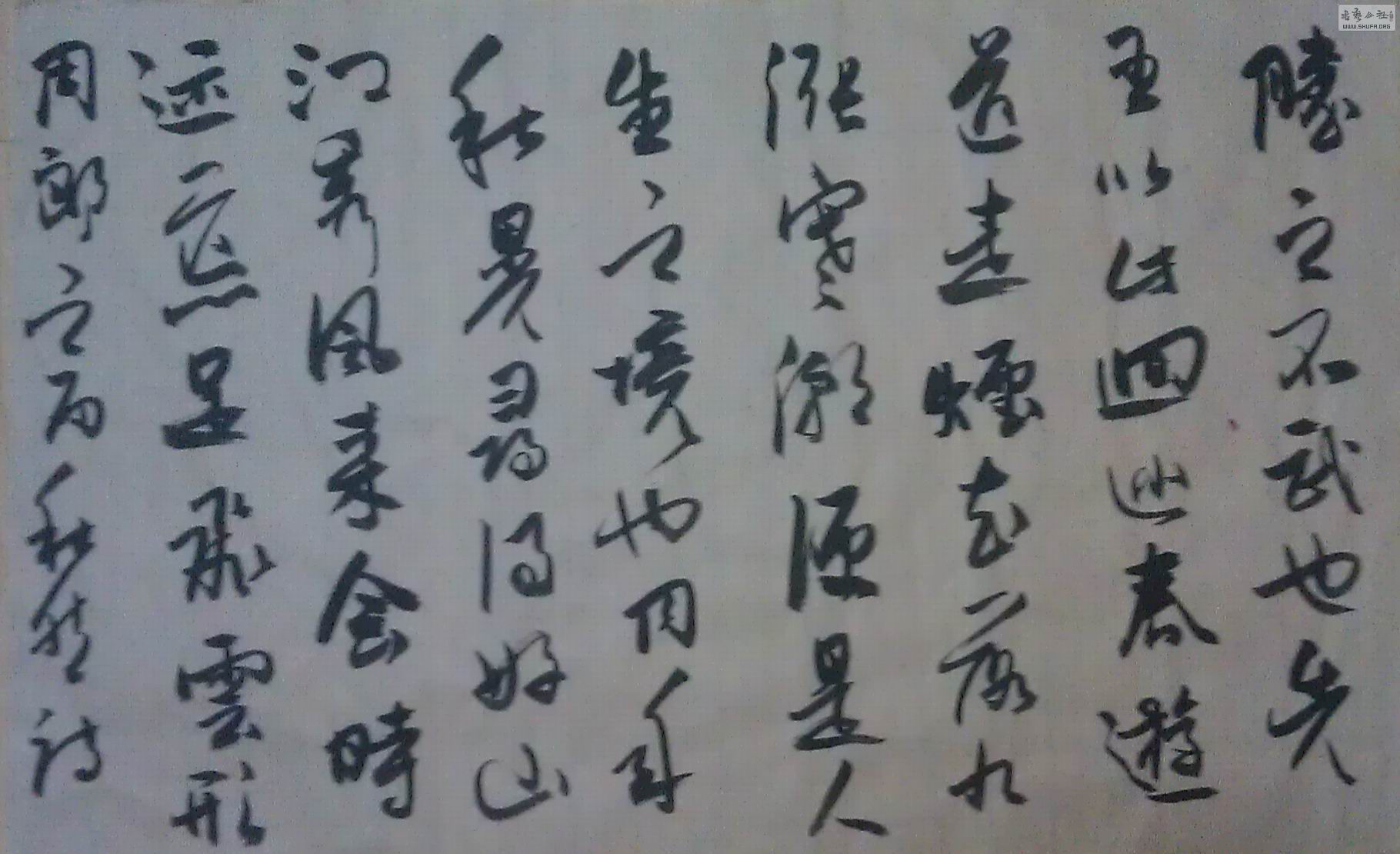 IMAG0260.jpg