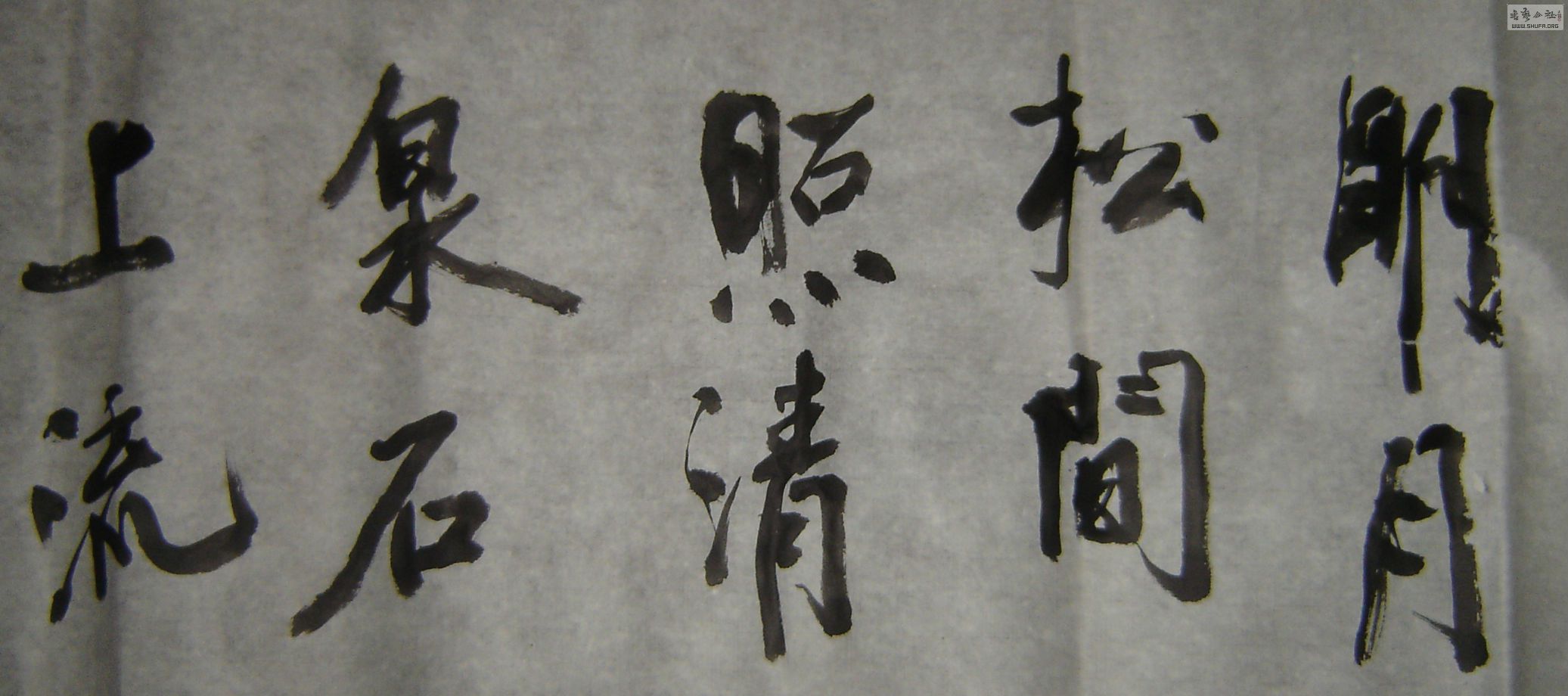 DSC04559.JPG