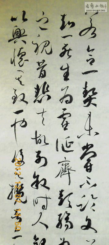 DSCN0419.jpg