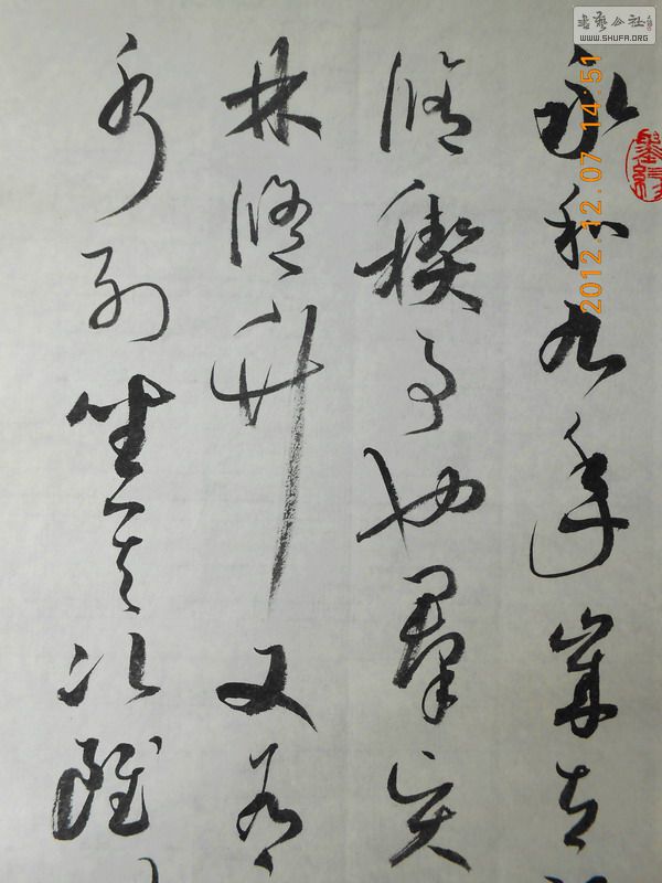 DSCN0421.jpg