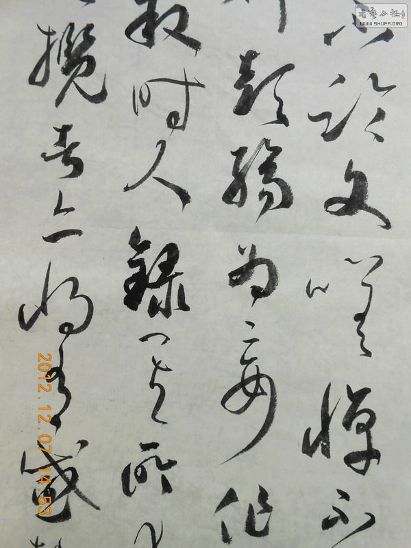DSCN0427.jpg