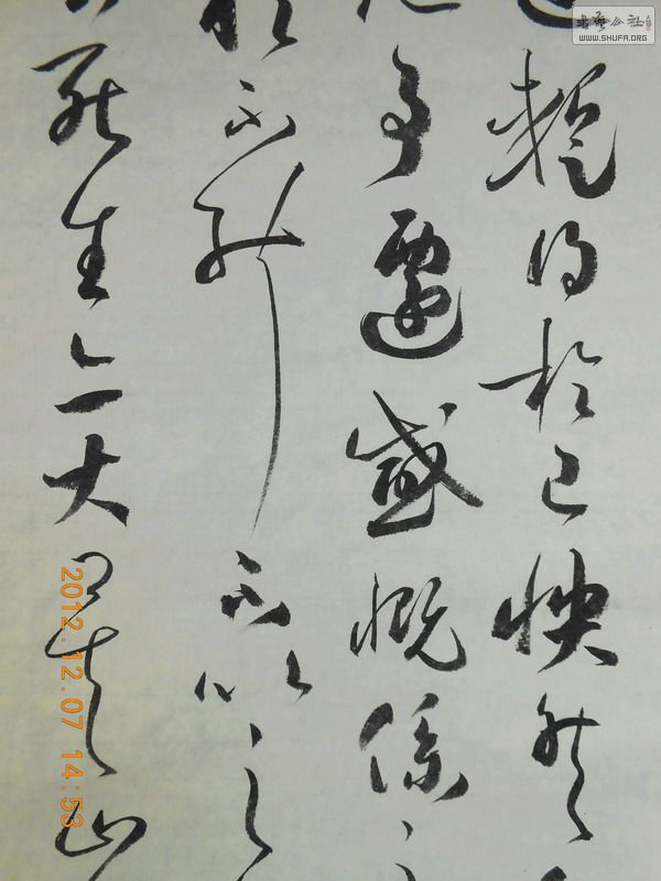 DSCN0426.jpg