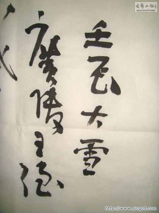 DSC04981.JPG