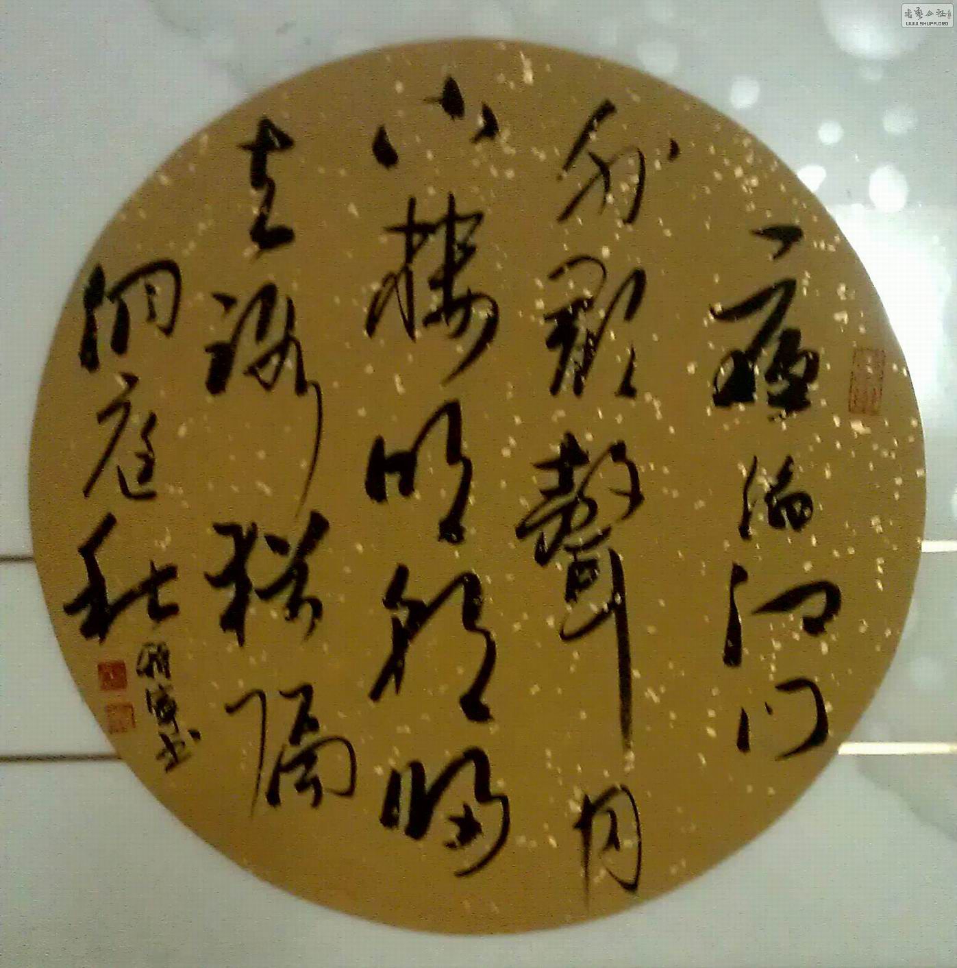 IMAG0410-1-1.jpg