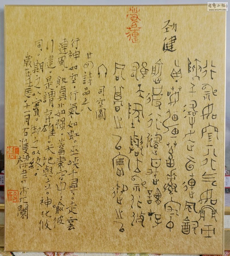 DSC01103.jpg