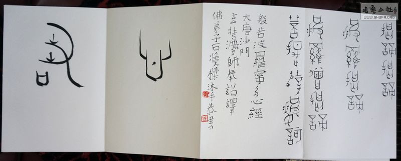 DSC01154.jpg
