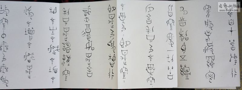 DSC01158.jpg