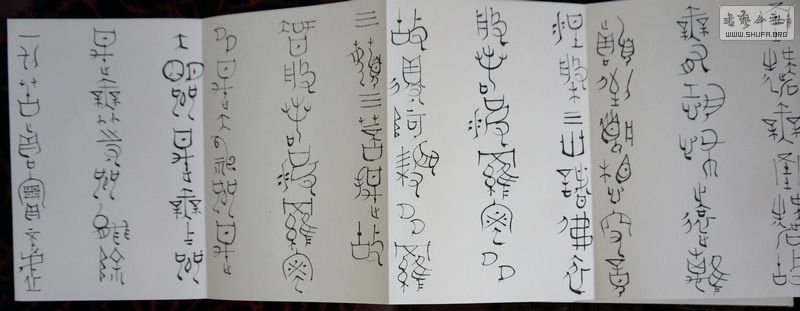 DSC01167.jpg