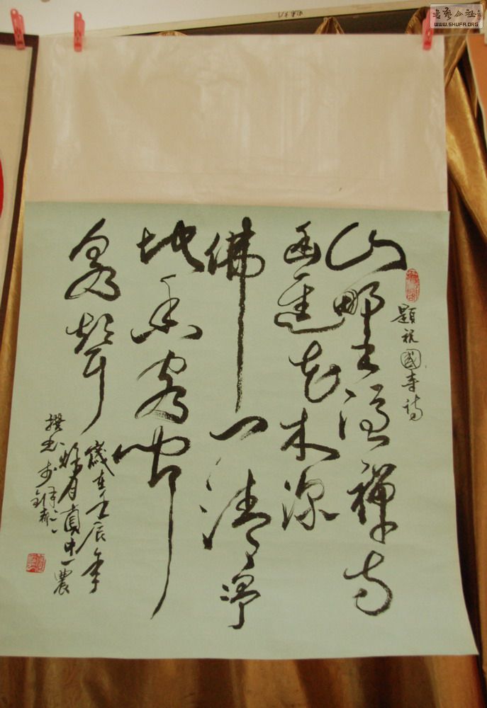 DSC_8418.JPG