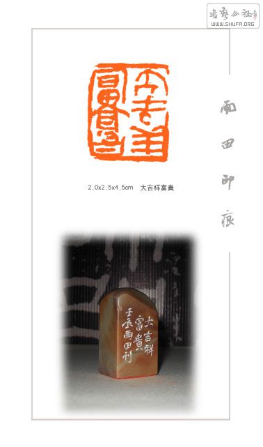 鸻.jpg