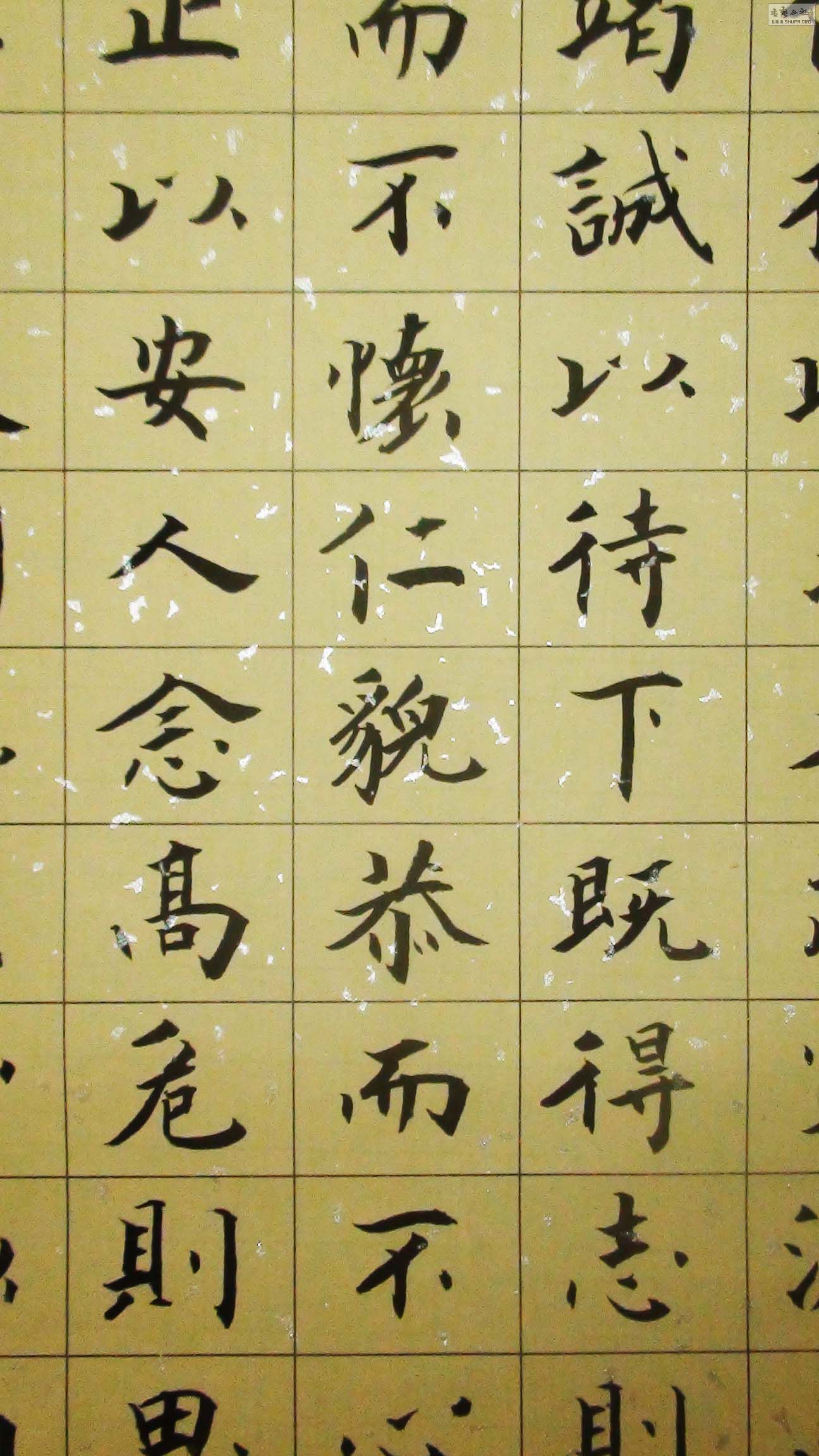 ʮ˼ ֲ 09.jpg