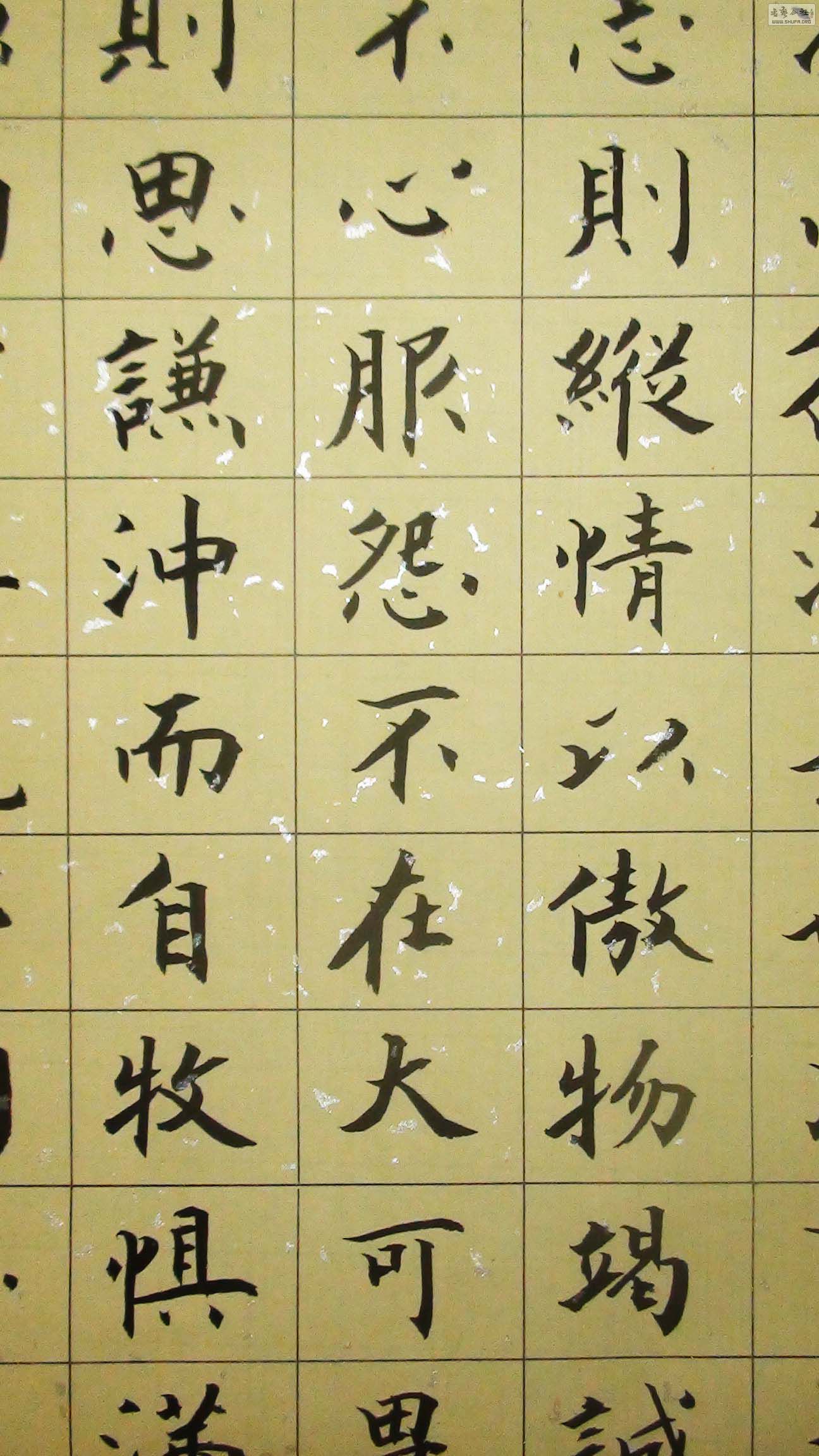 ʮ˼ ֲ 10.jpg