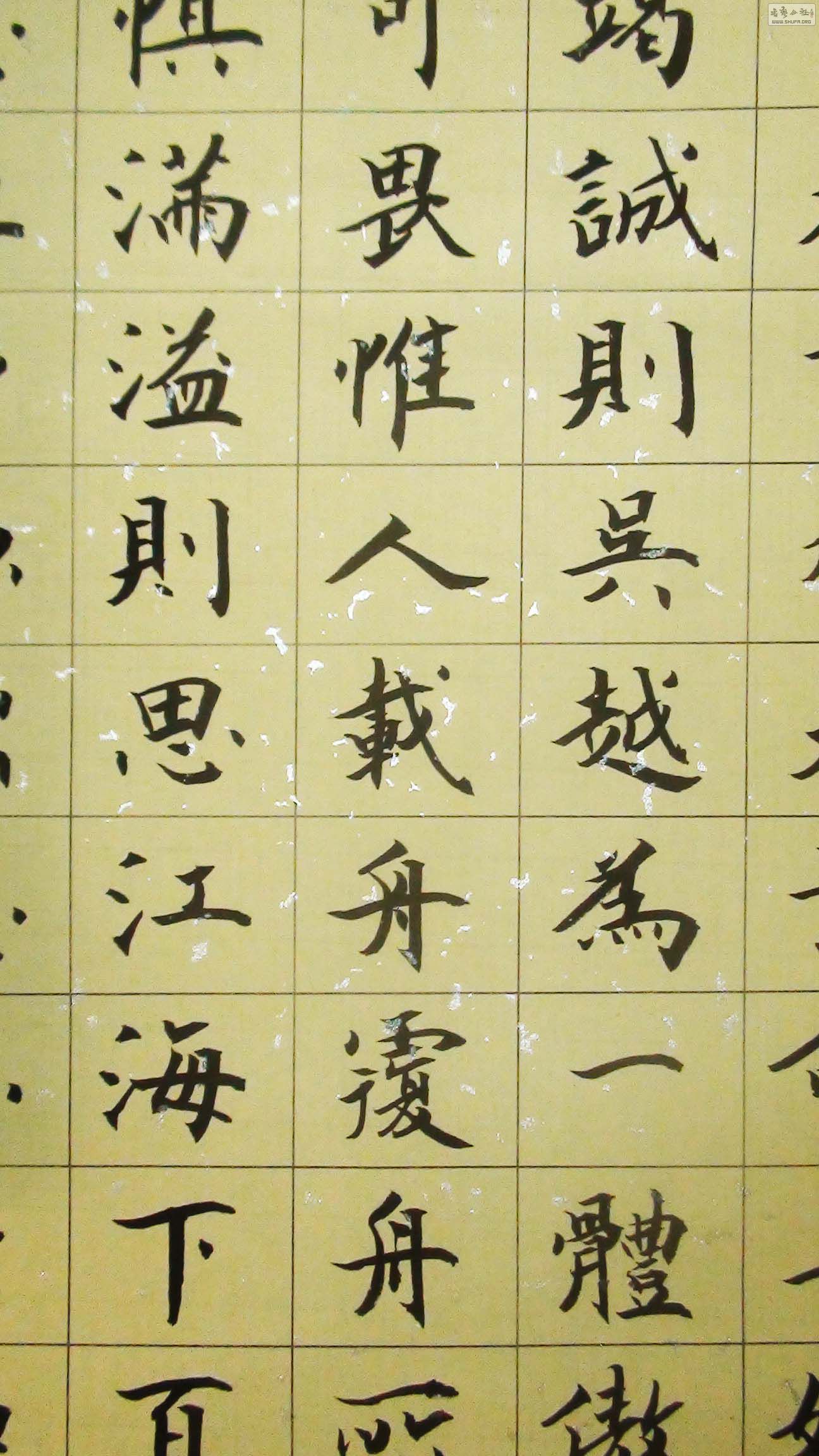 ʮ˼ ֲ 11.jpg