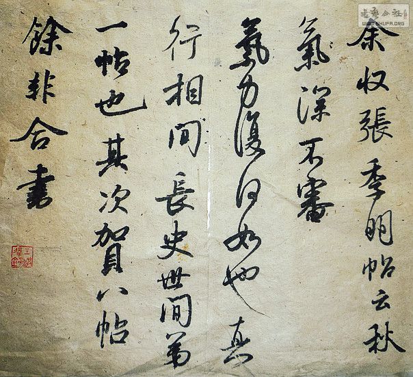 P1010746_.jpg