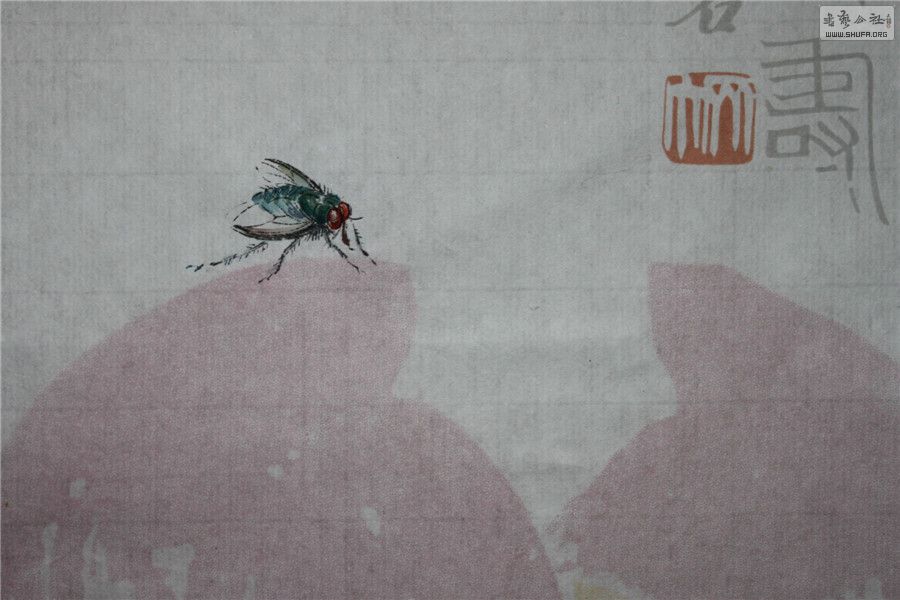 㡤ֲ (9).jpg