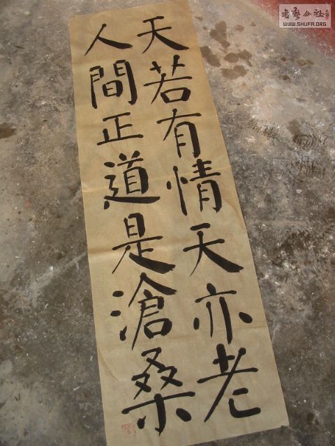 IMG_2785.JPG