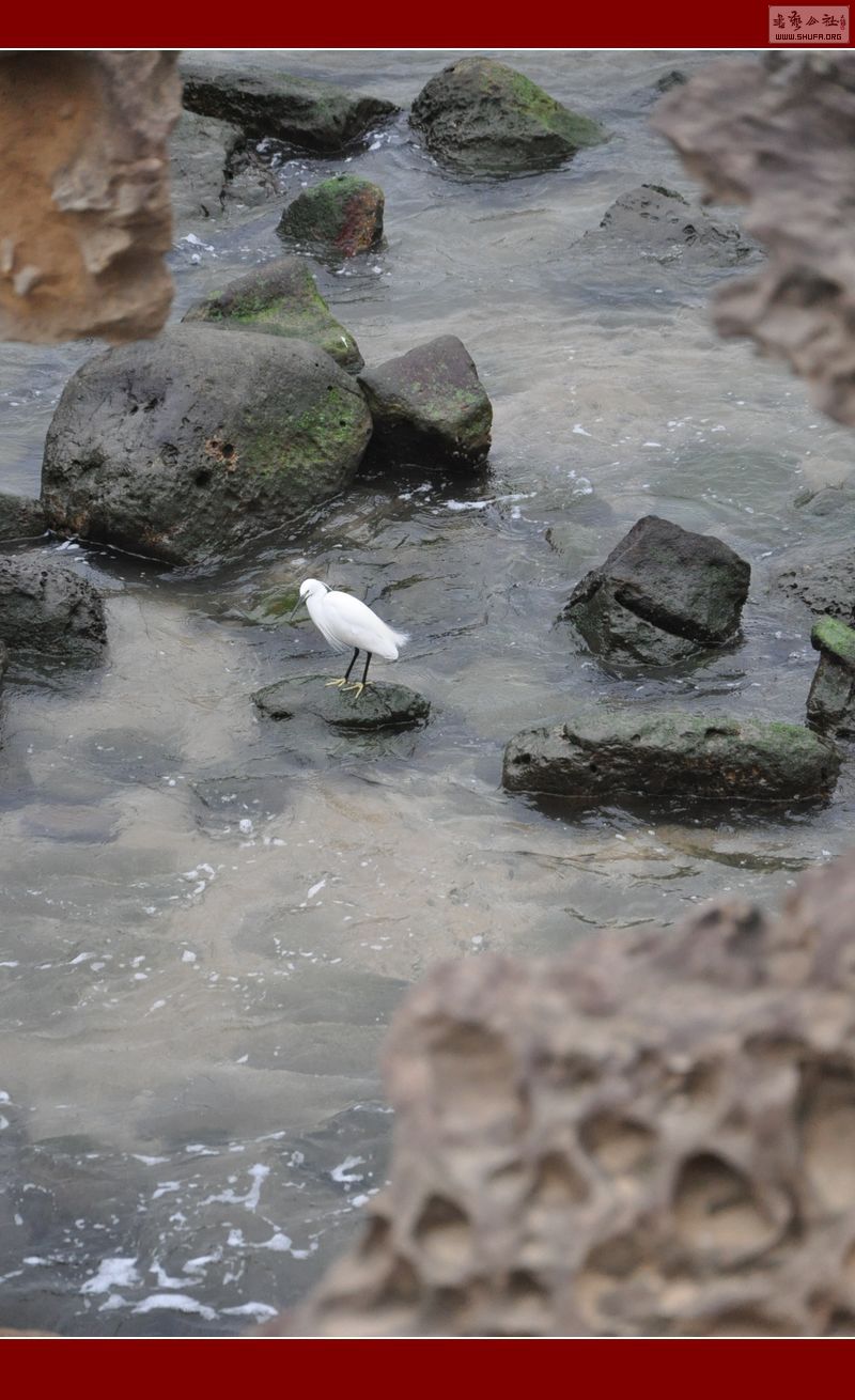 DSC_0049.jpg