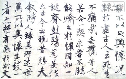 2013.1.20 (2).jpg