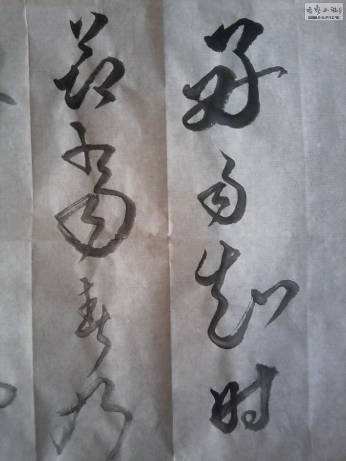 Ƭ0005.jpg