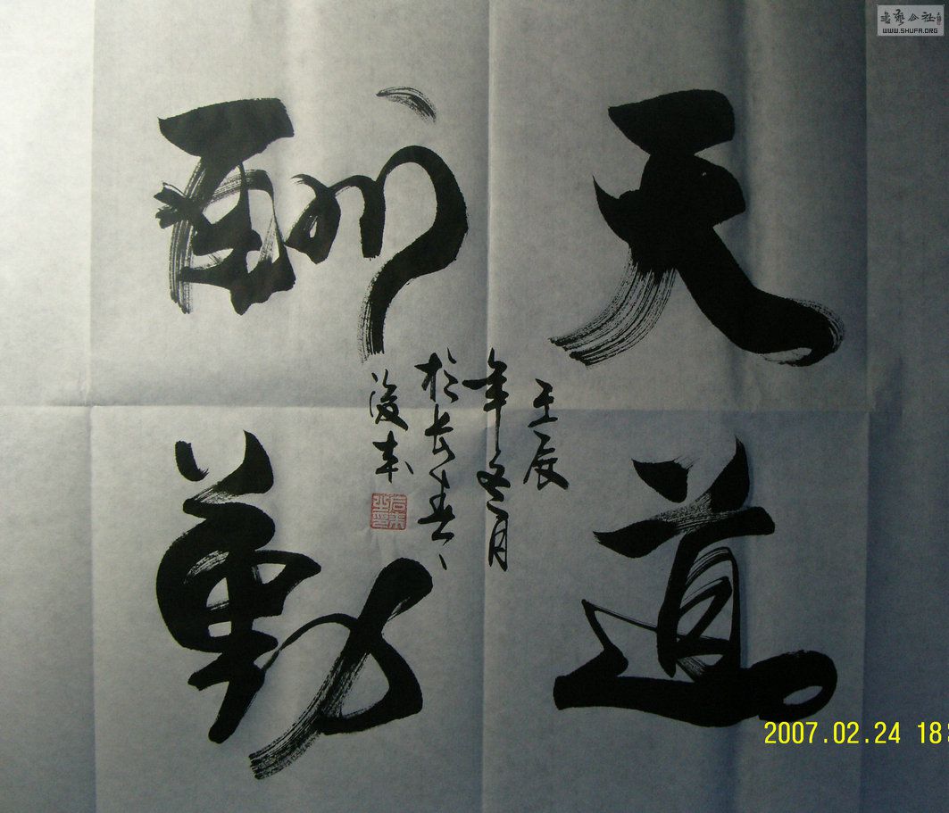 SNV13057.JPG