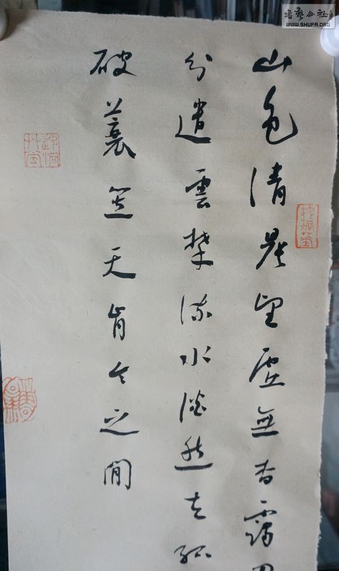 DSC01365.JPG