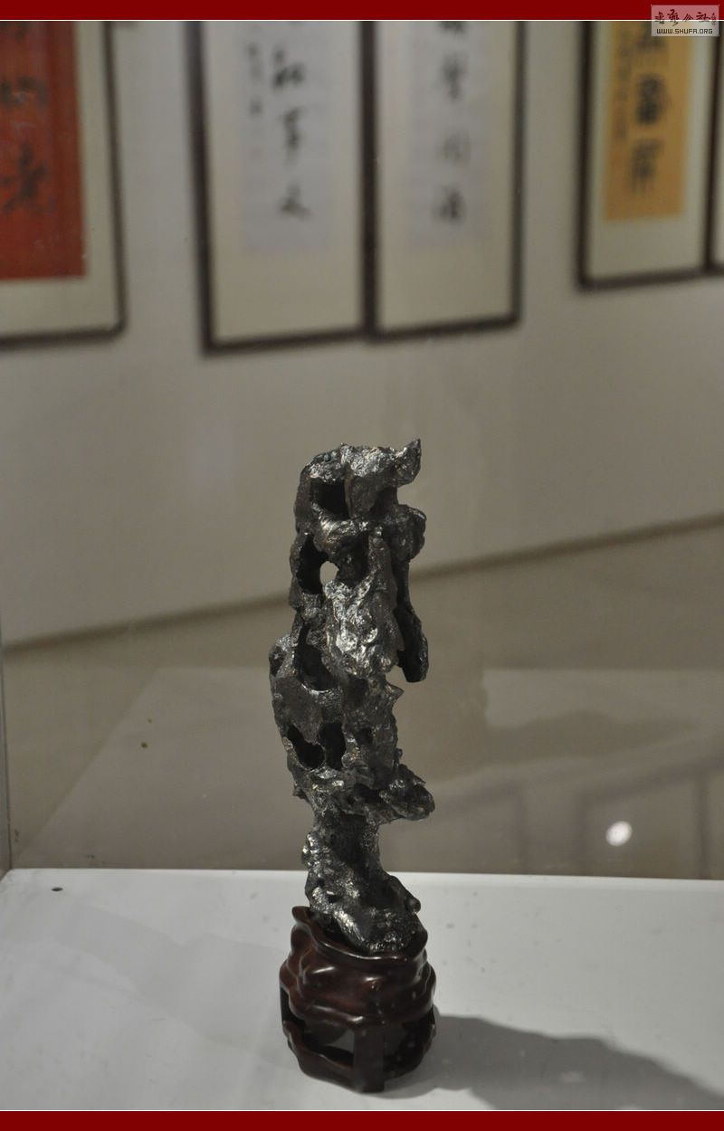 DSC_0016.jpg