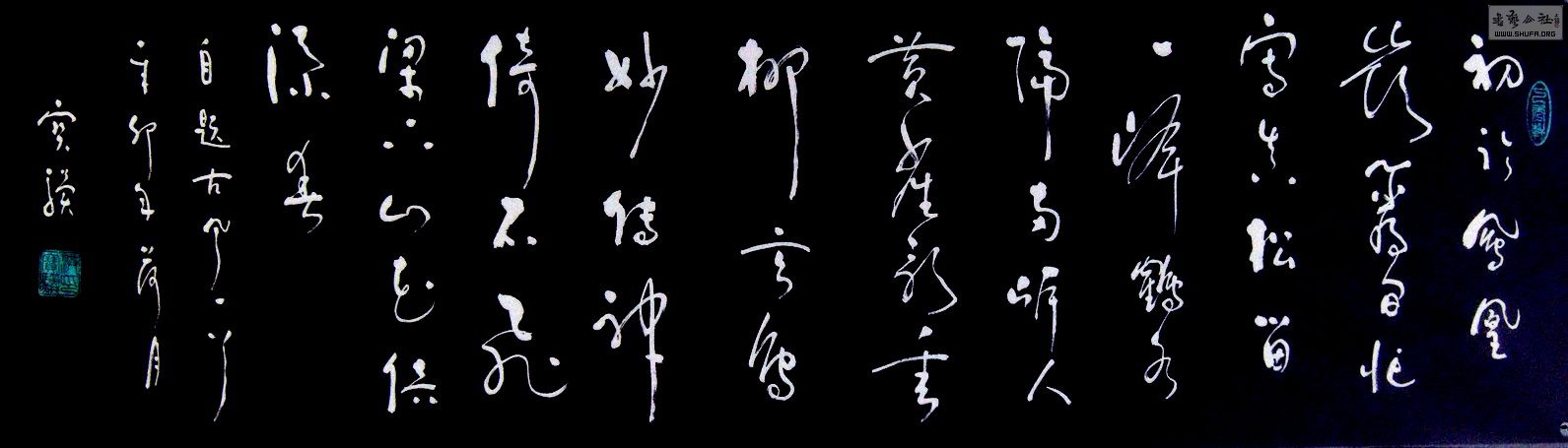 DSCN2195v.jpg