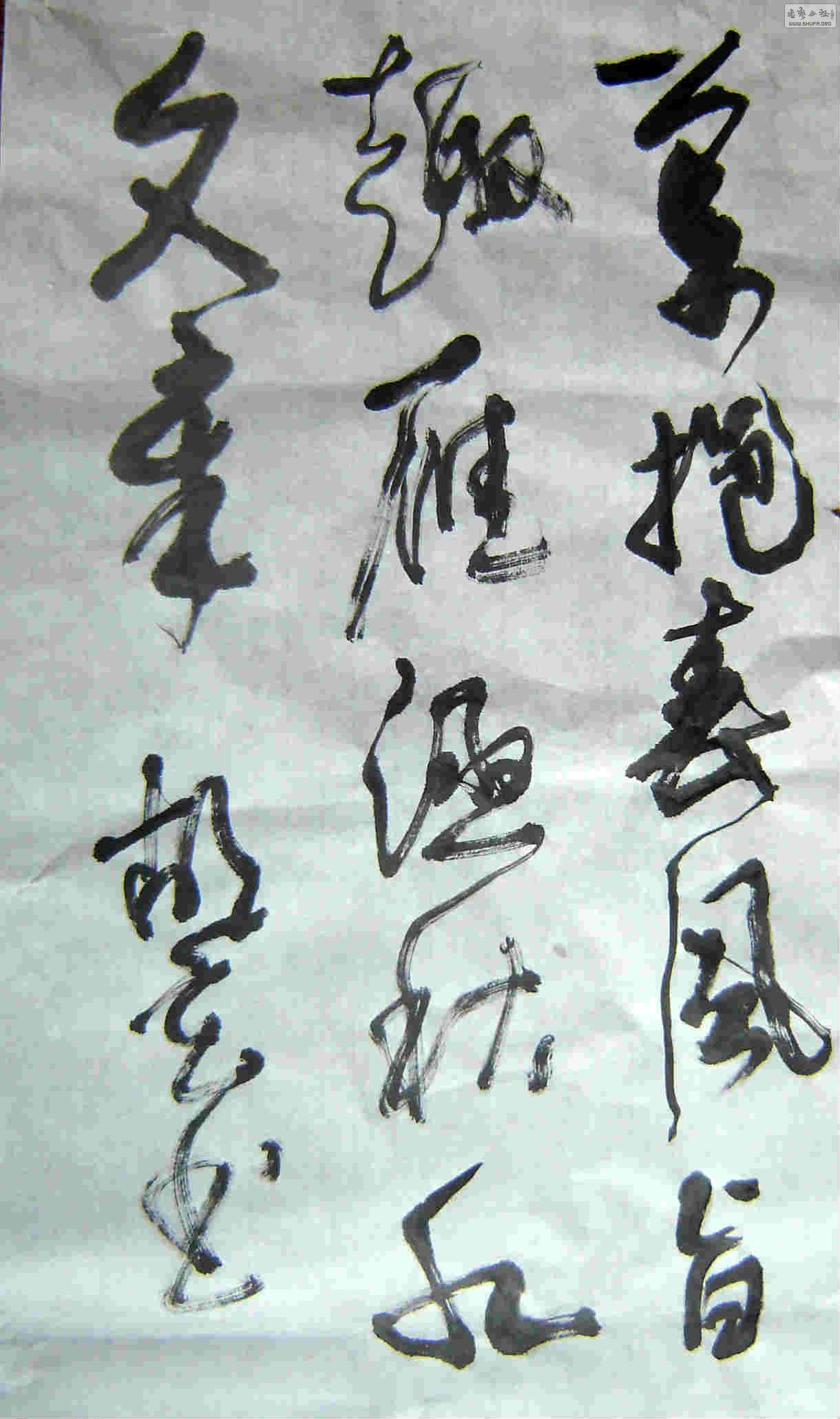 DSC04581.JPG