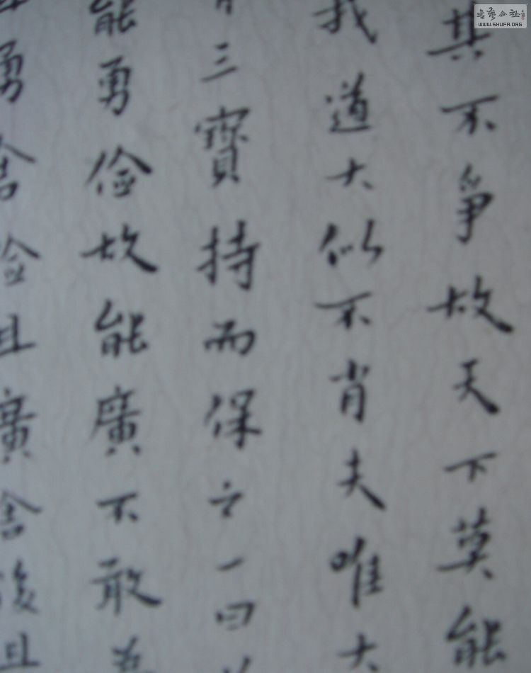 DSC07433.JPG