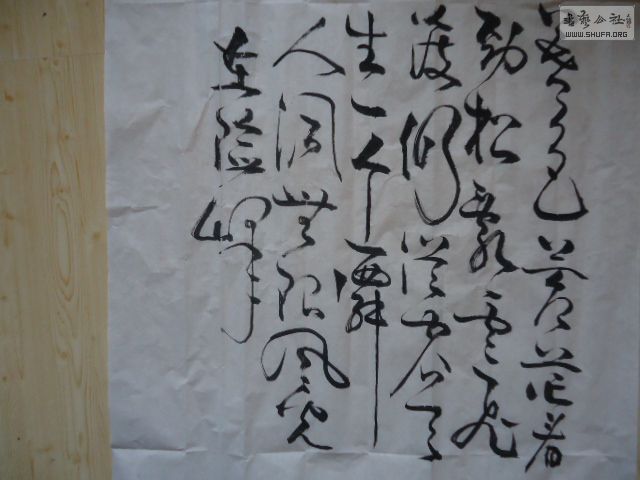 DSC06825.JPG