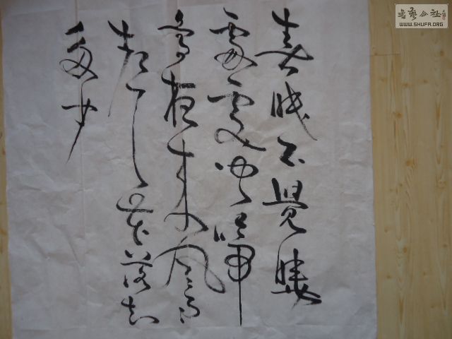 DSC06828.JPG