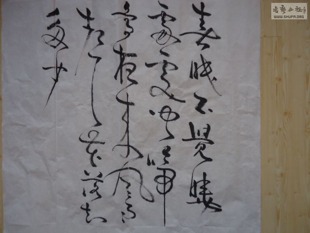 DSC06829.JPG