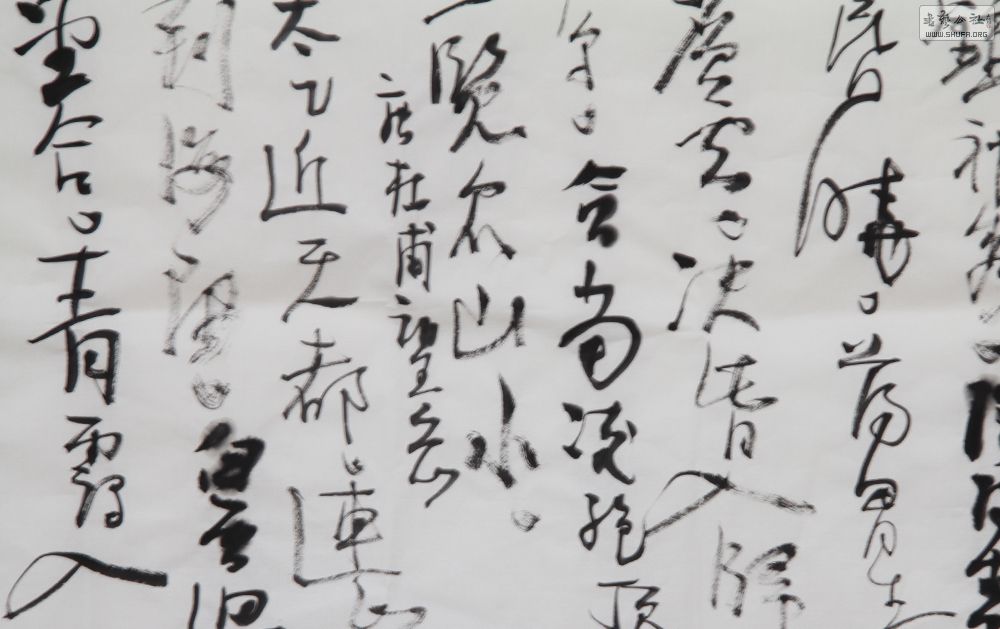䲮Ʒ1-3.jpg