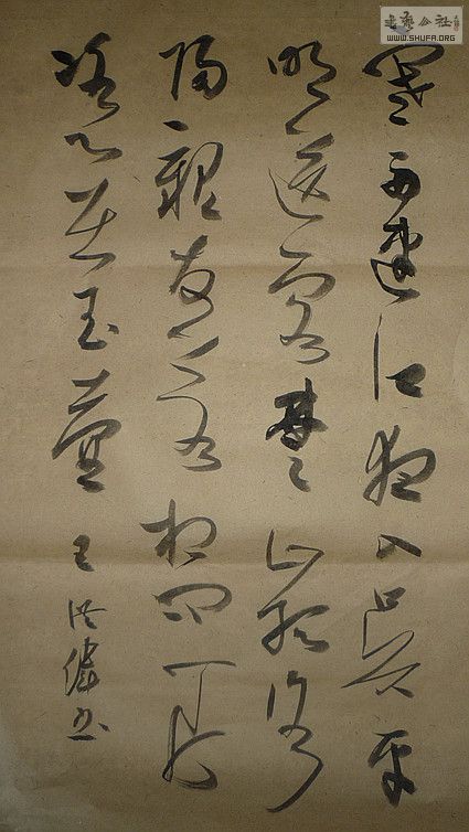 P1010772_.jpg