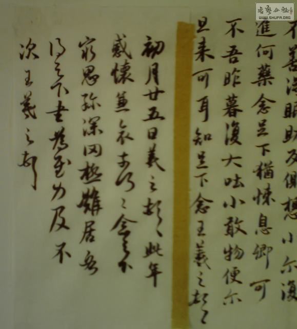 IMAG0008.JPG