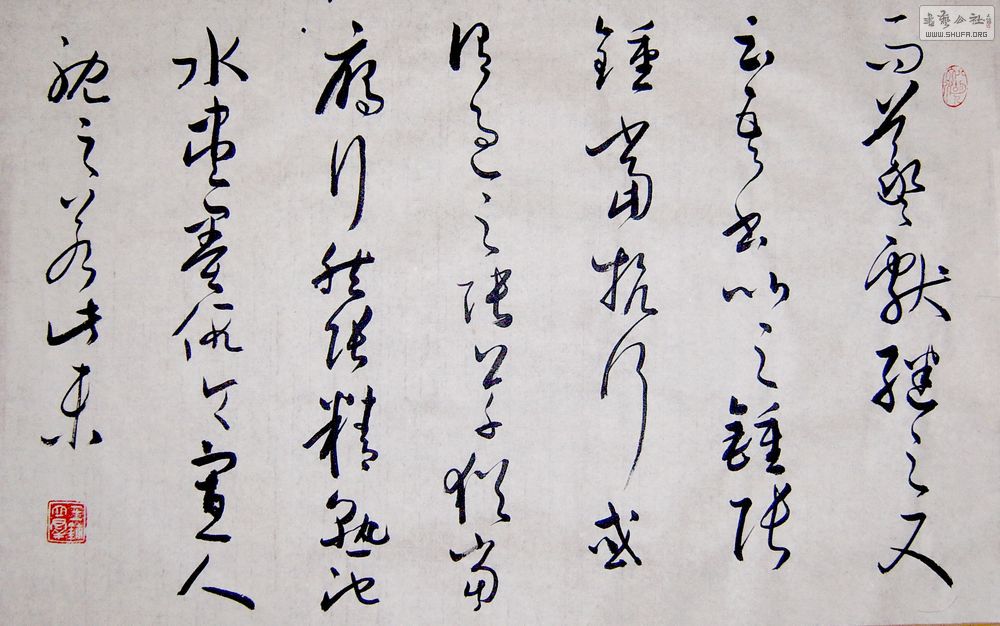 SUC54673.JPG