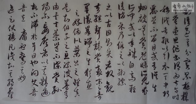 IMAG0033.JPG