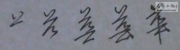 0 (10).jpg