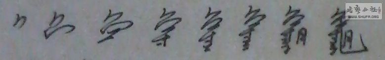 0 (18).jpg