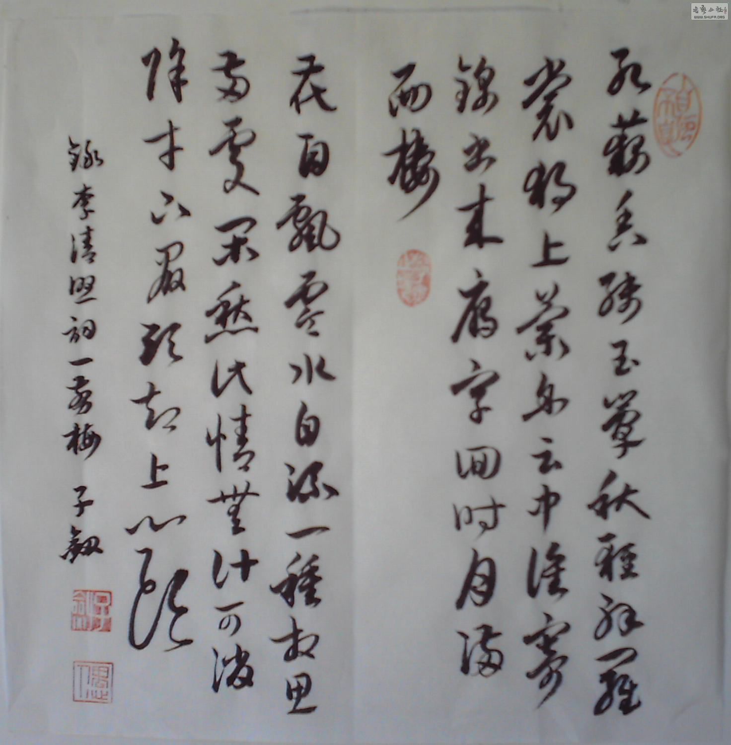 IMAG0009.JPG