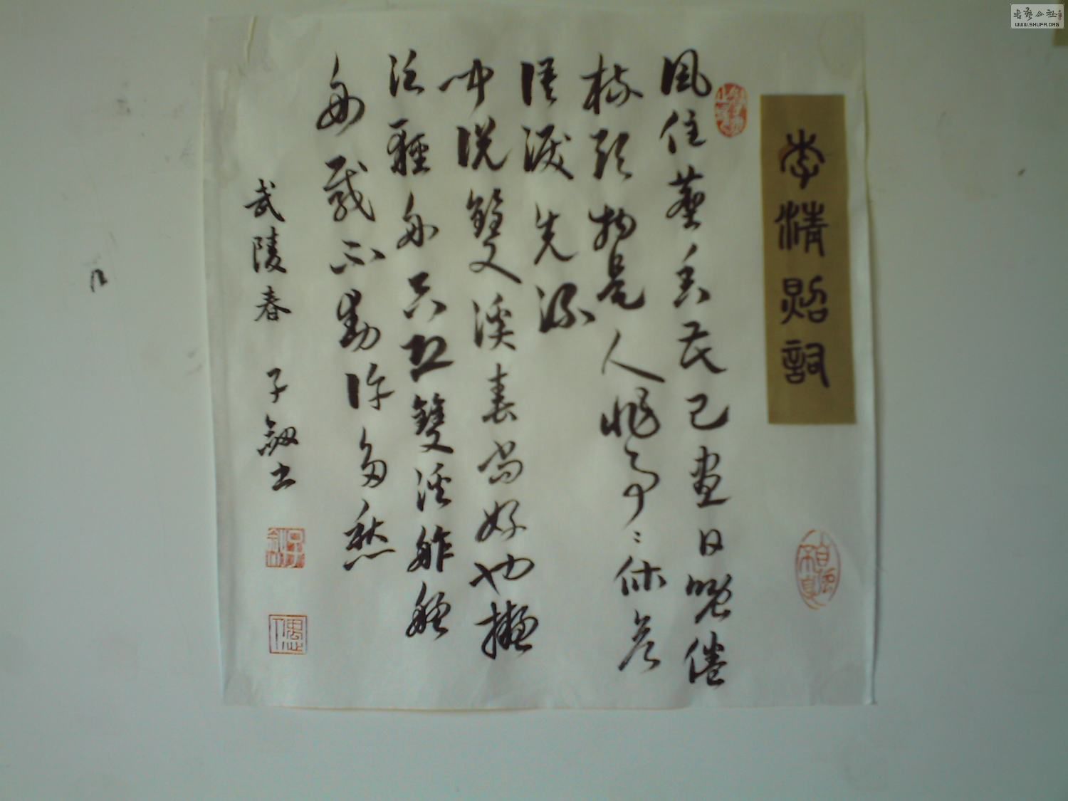 IMAG0017.JPG
