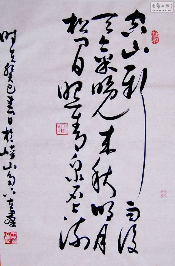 SUC54674.JPG
