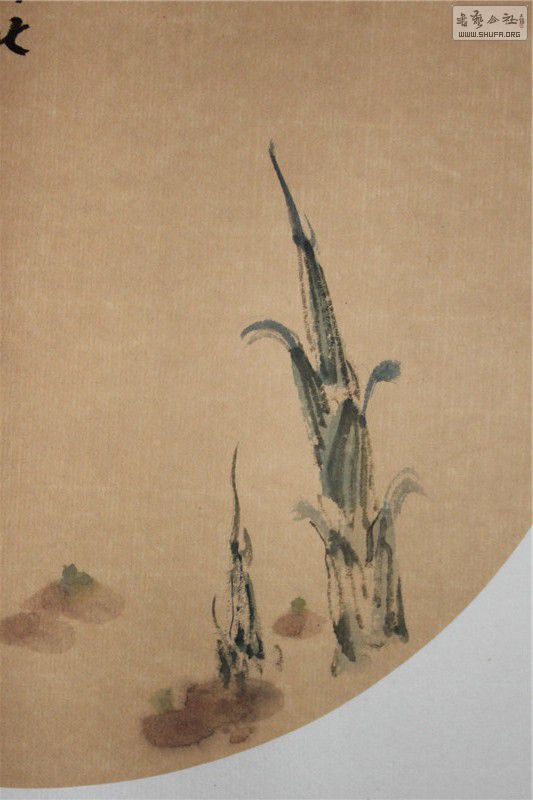 ֲ (2).jpg