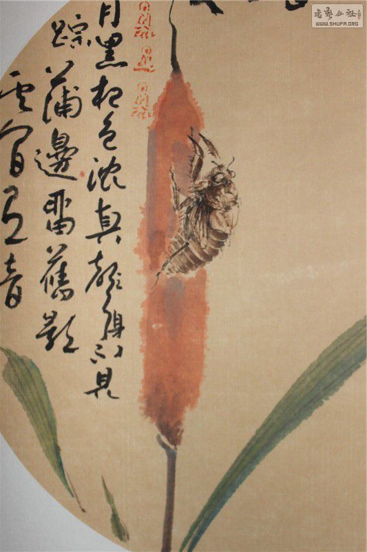 ֲ (4).jpg