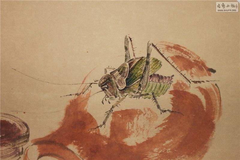 ֲ (11).jpg