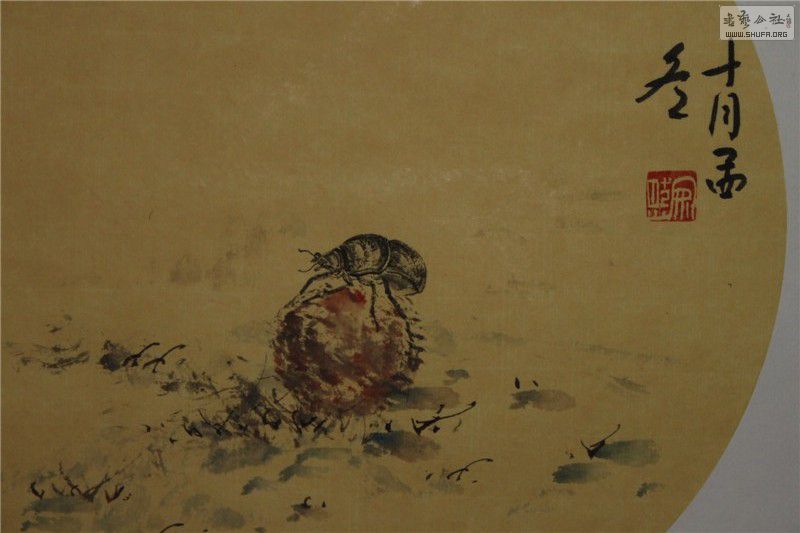 ֲ (14).jpg