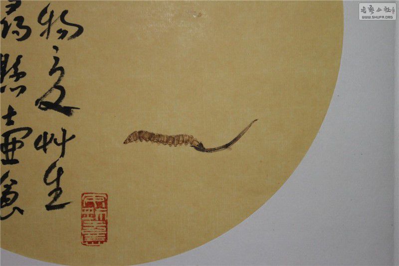 ֲ (16).jpg
