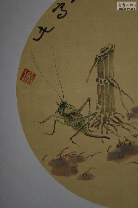 ֲ (12).jpg